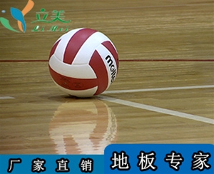 室內(nèi)排球場木地板