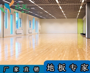 兒童舞蹈運(yùn)動(dòng)木地板