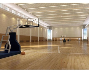 籃球館運(yùn)動(dòng)木地板