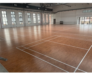 大朗新中學體育館木地板